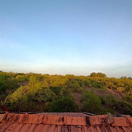 Kamanabillu Homestay, For Jog Falls Travellers Siddapur Bagian luar foto