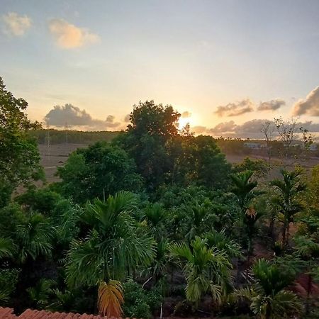 Kamanabillu Homestay, For Jog Falls Travellers Siddapur Bagian luar foto